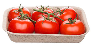 tomato punnet